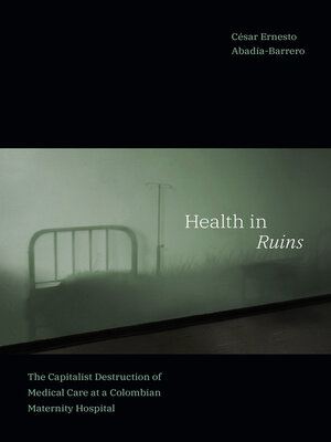 cover image of Health in Ruins